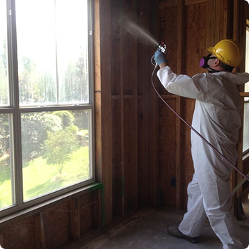 Mold Removal & Remediation in Atlanta, GA