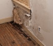 water damage untreated in home