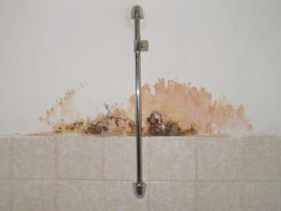 Mold In Your Home