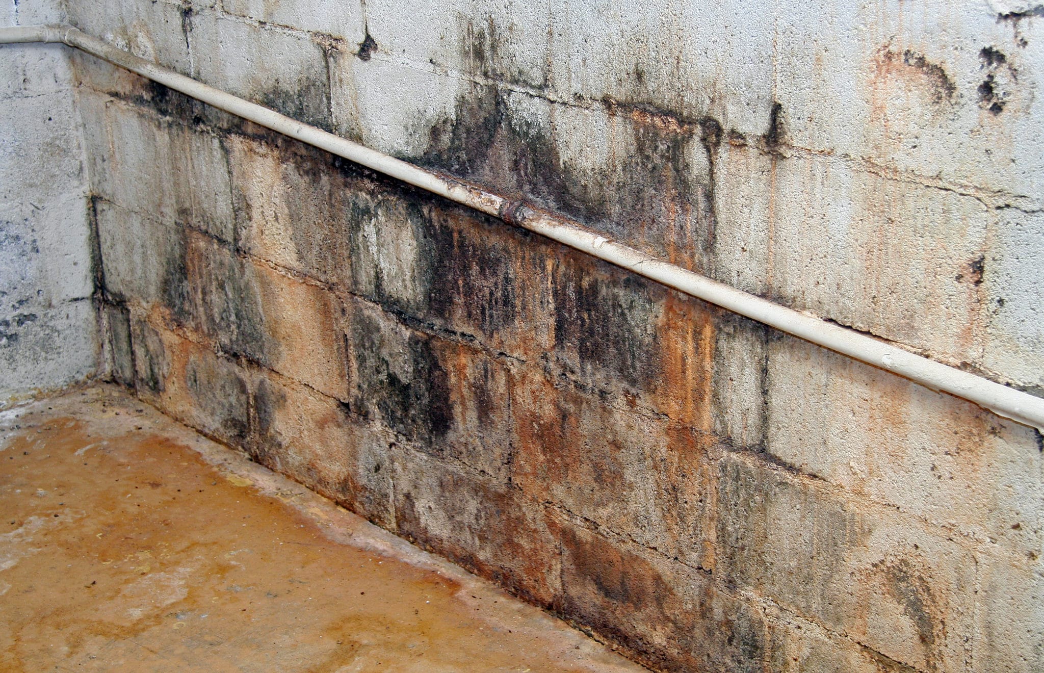 sewage_damaged_wall