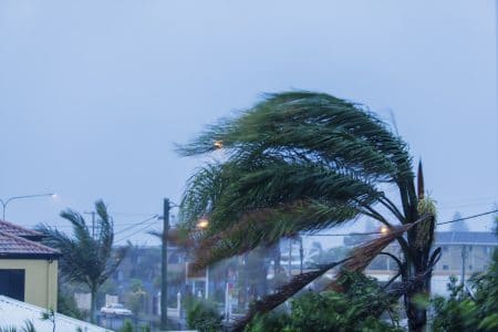 storm damage wind